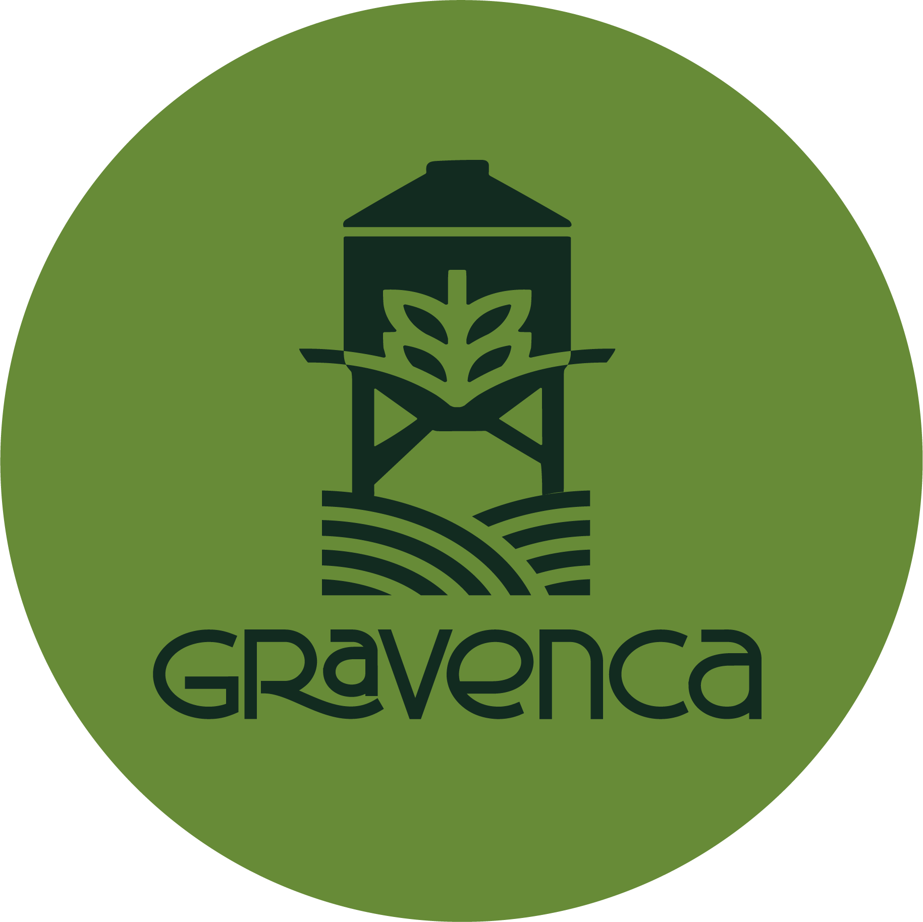 Avatar oficial de Gravenca 02