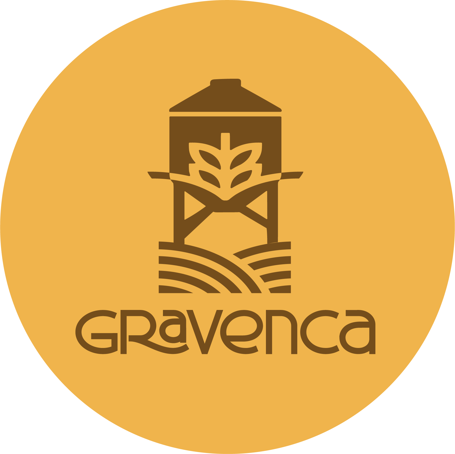 Avatar oficial de Gravenca 03