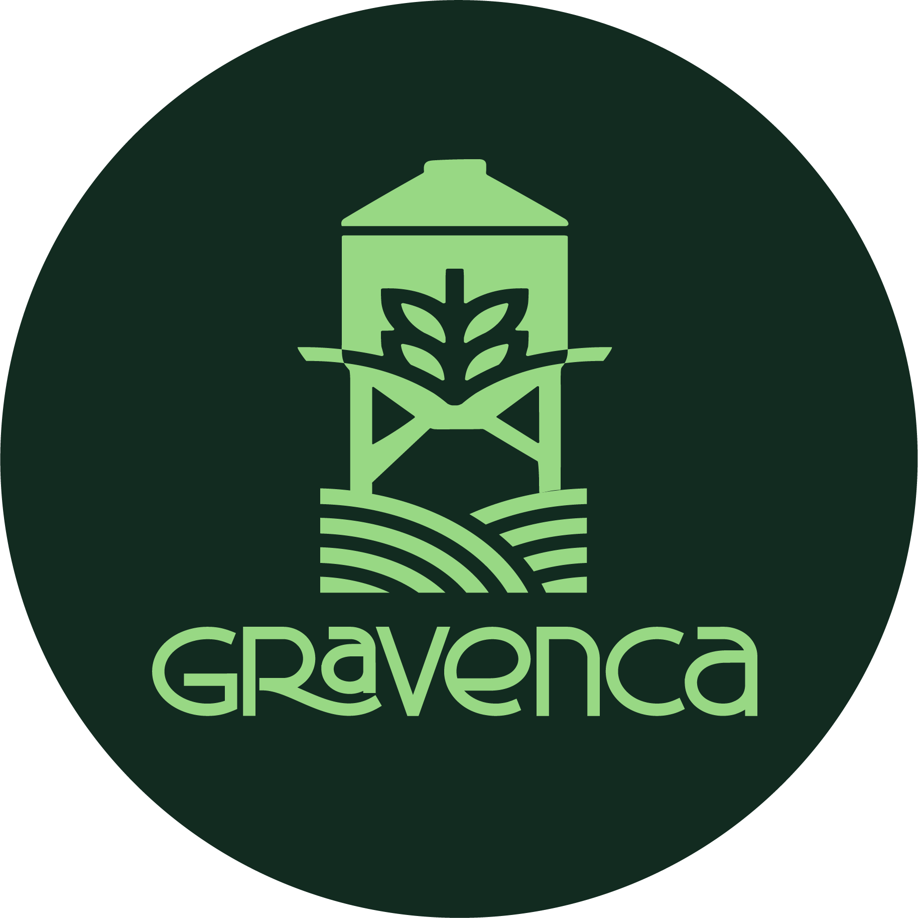 Avatar oficial de Gravenca 04