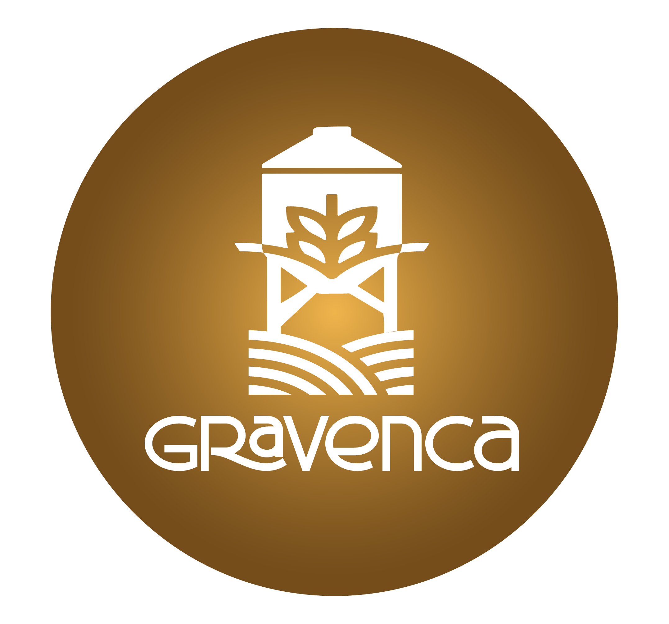 Avatar oficial de Gravenca 06