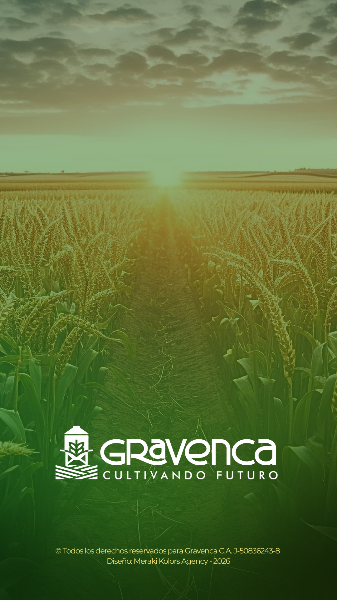 Wallpaper móvil Gravenca 03, logotipo sobre campo