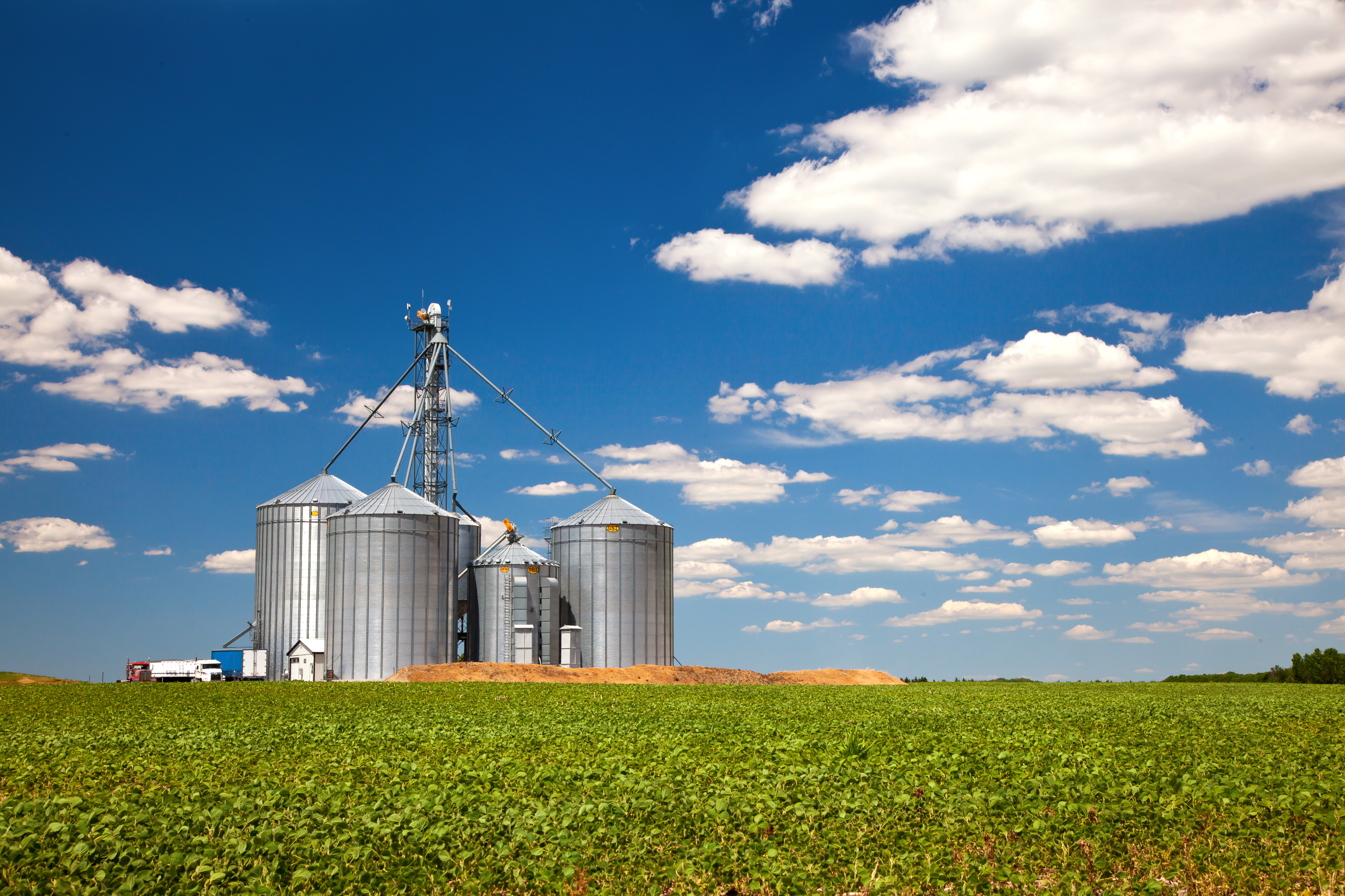 Silos junto a un campo cultivado bajo cielo despejado
