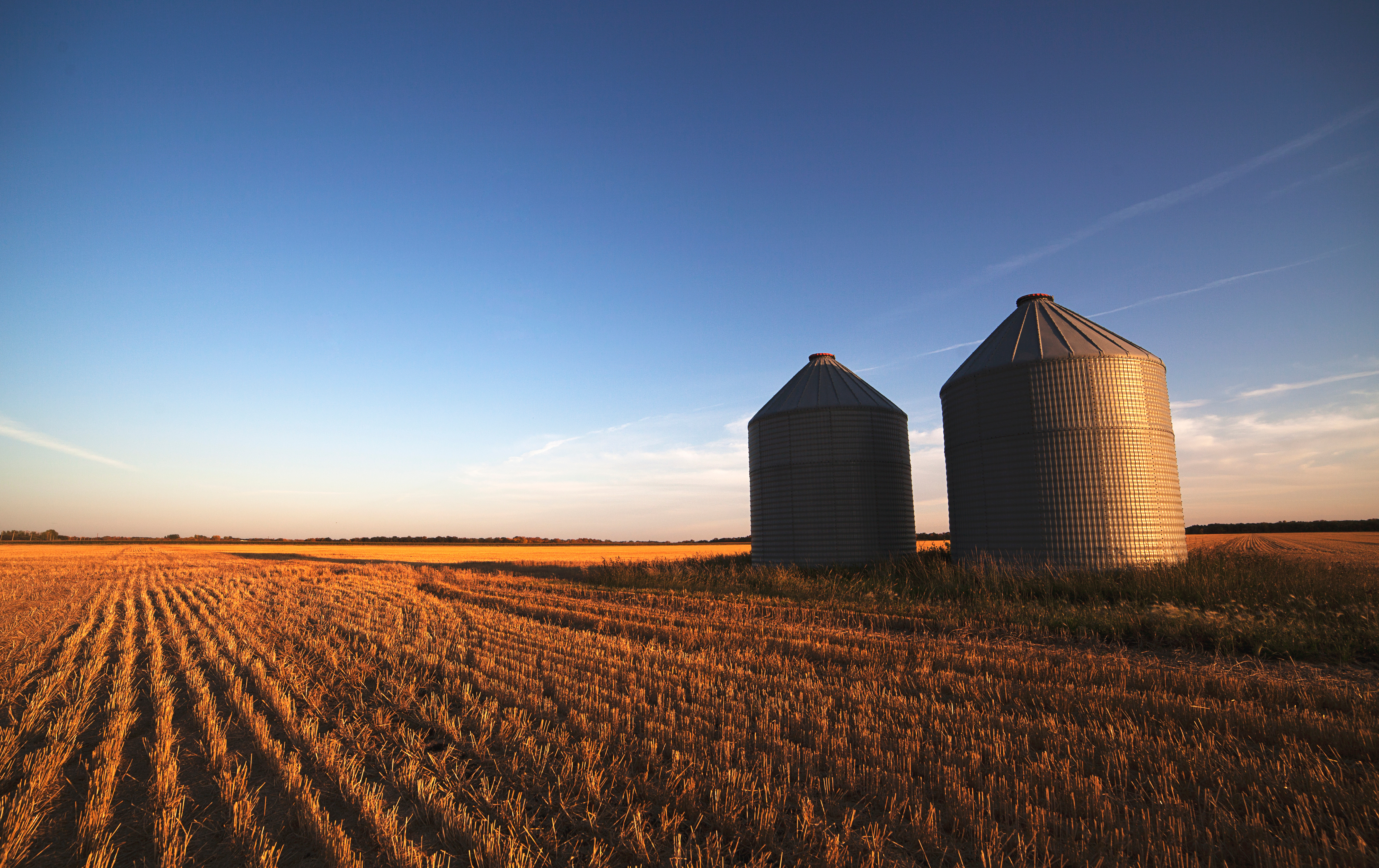 Dos silos en un campo cosechado al atardecer